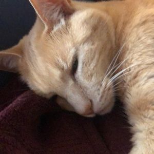 Meet your Posher, Charles